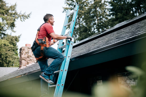 Roof Moss and Algae Removal in Birch Run, MI